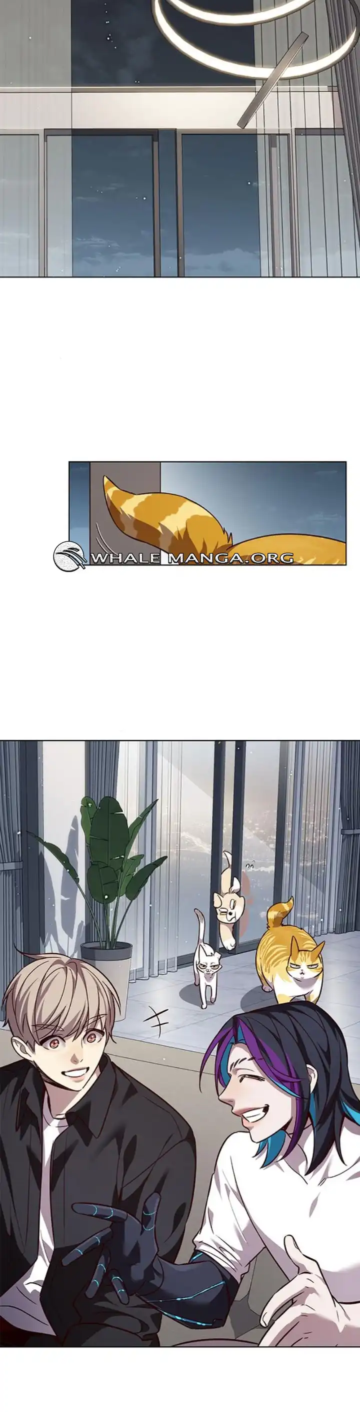 Load image...