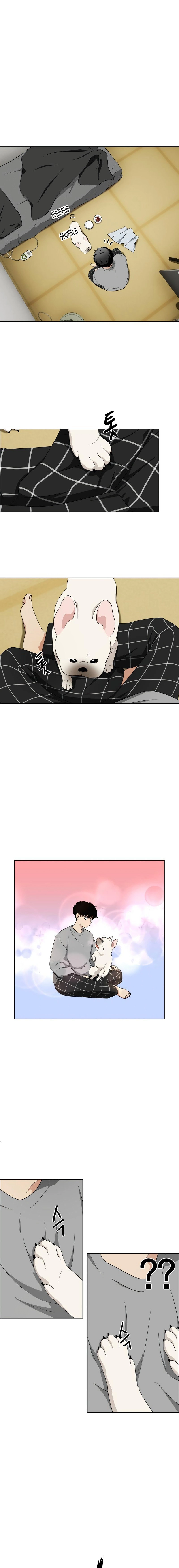 Load image...