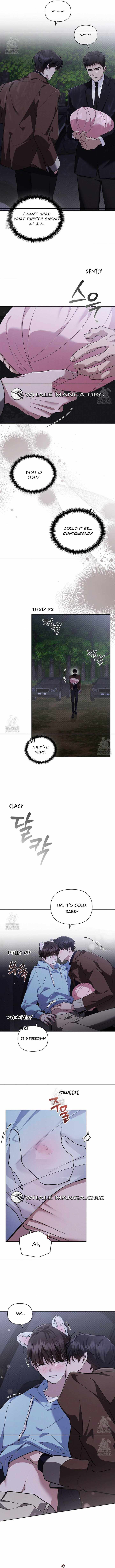 Load image...