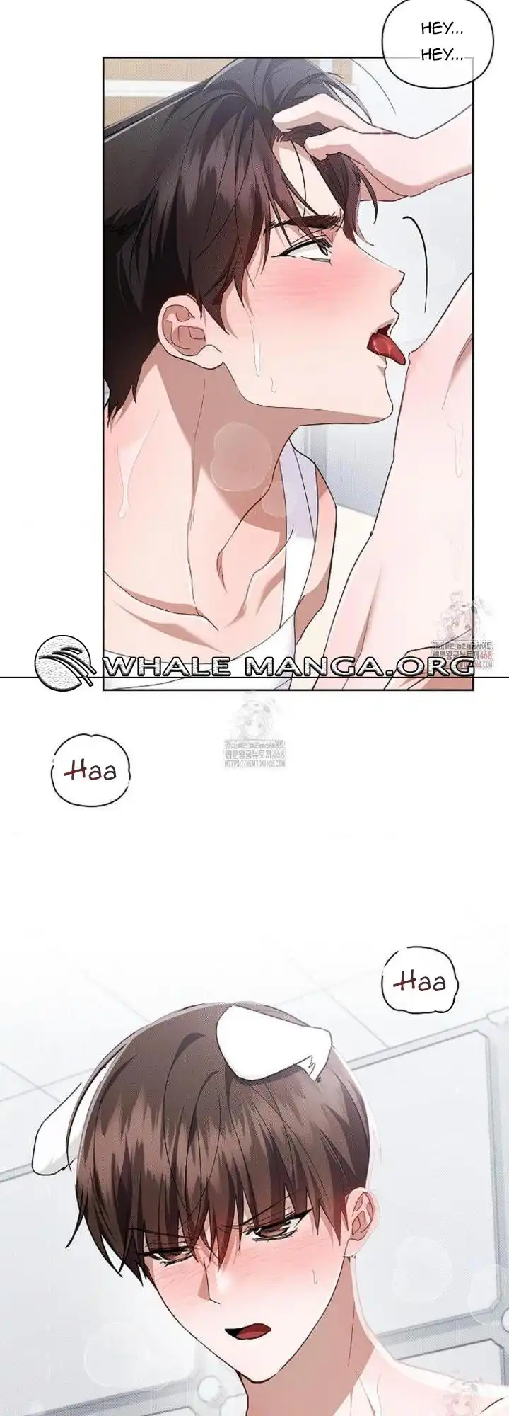 Load image...