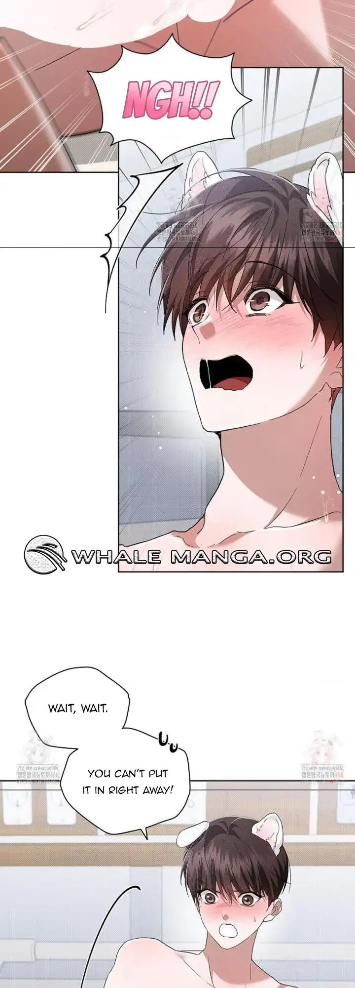 Load image...