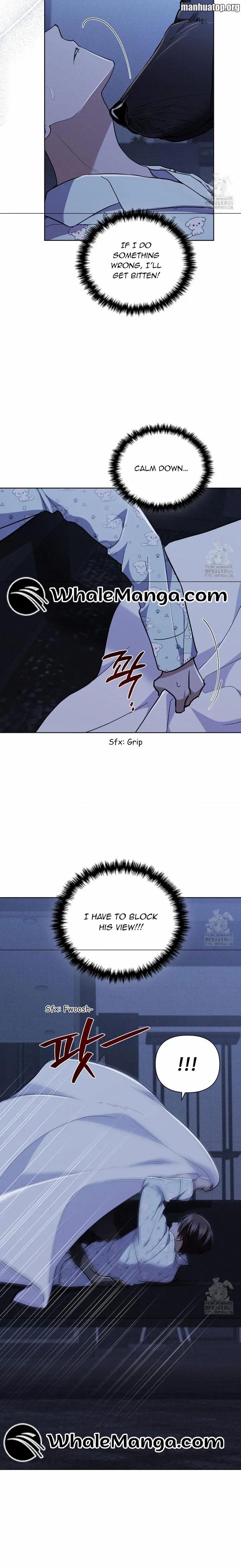 Load image...