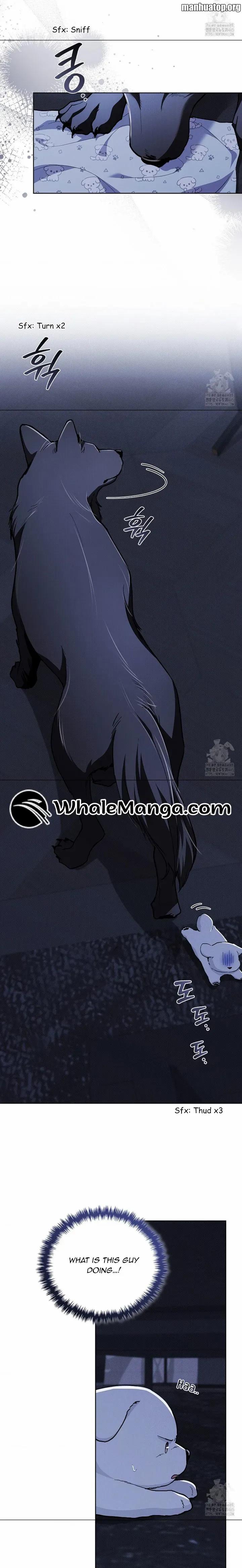 Load image...