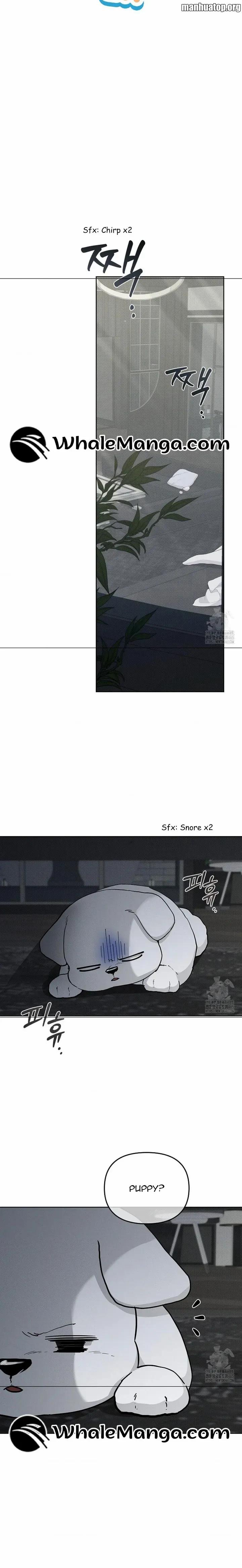 Load image...