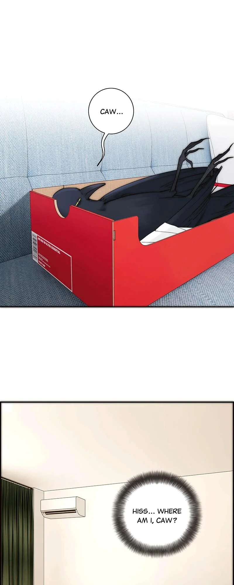 Load image...